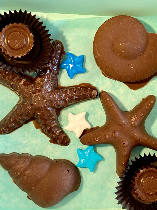 Starfish chocolate 9 in a gift box