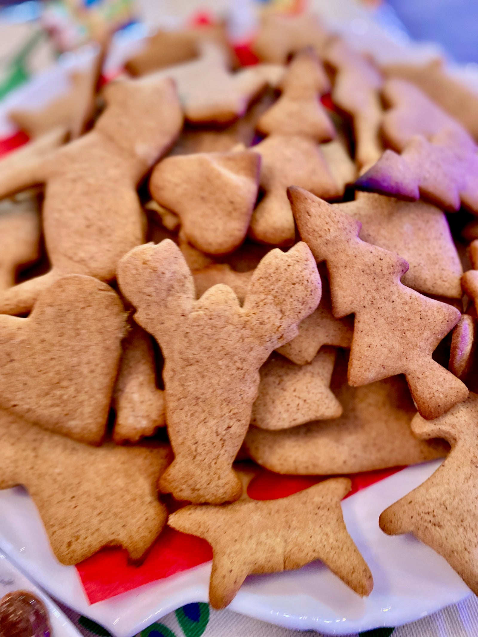 Swedish American GingerBread Cookies