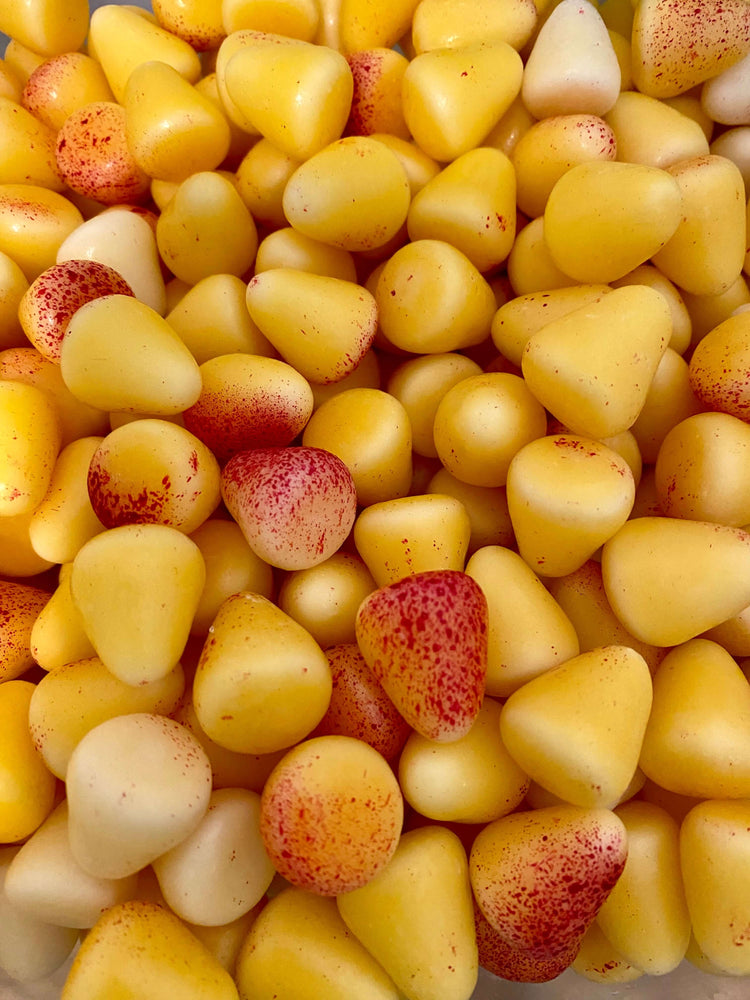 swedish candy boston
