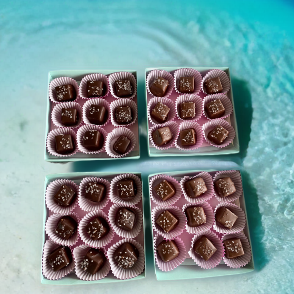 Dark Sea Salt Chocolate Caramel 12 made by Nantasket Sweets in a gift box