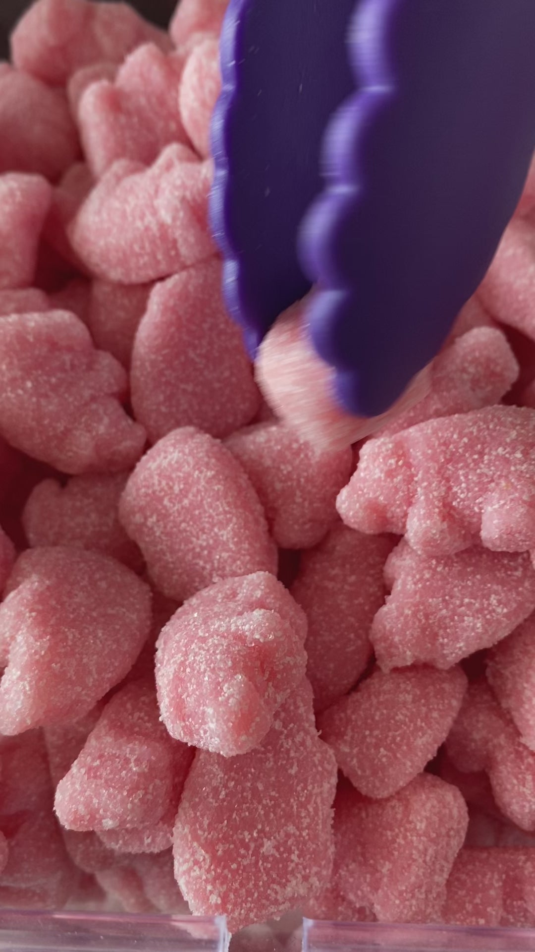 Gustaf's Sour Gummi Piglets 4oz