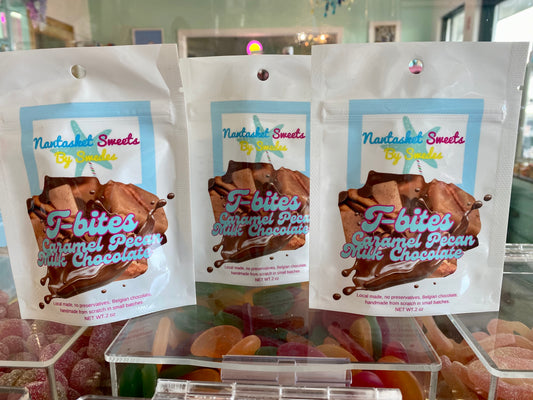 T Bites Chocolate Pecan Caramel by Nantasket Sweets 2.88 oz
