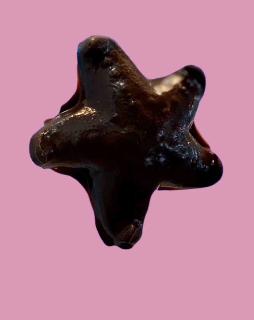 Nantasket Sweets Home made Starfish Chocolate Lollipops