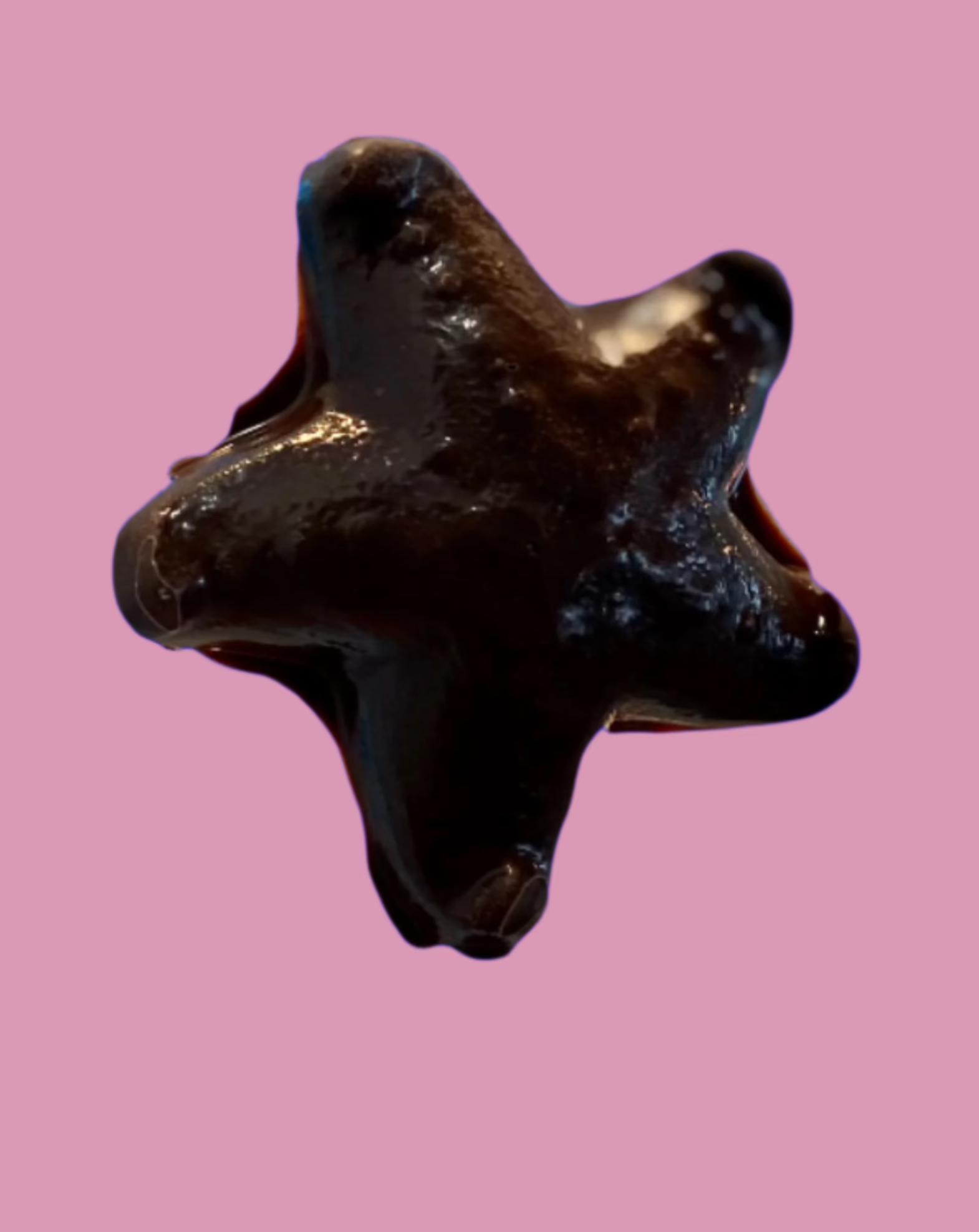 handcrafted nantasket starfish callebaut chocolate