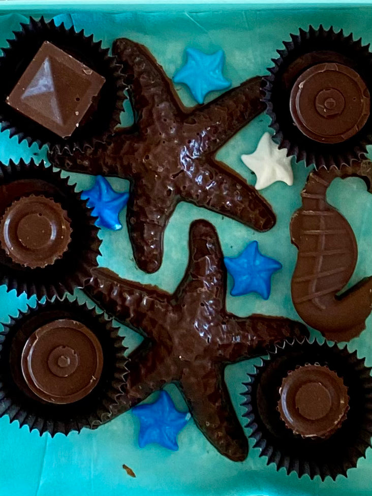 Starfish chocolate 9 in a gift box