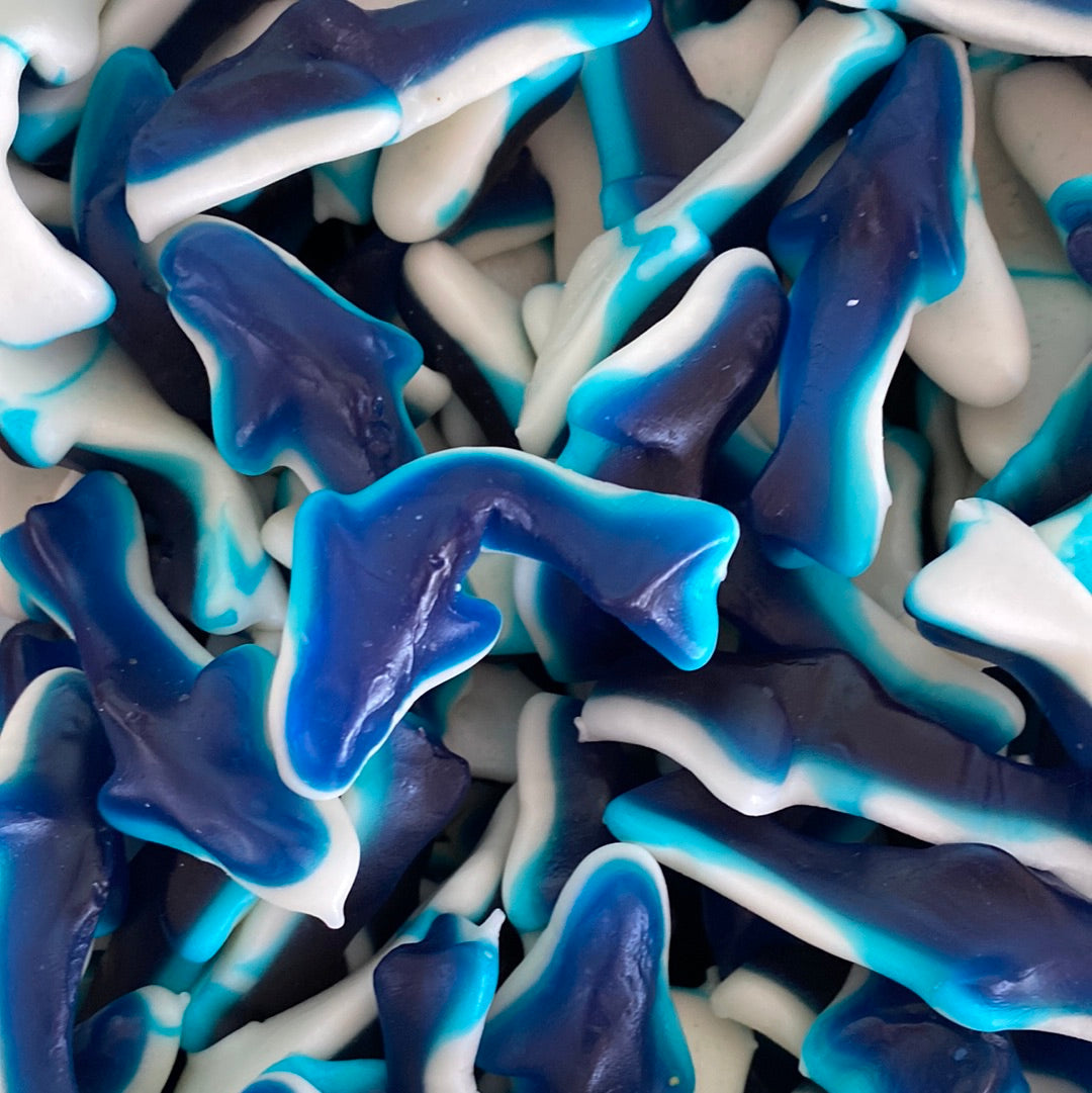 blue gummy shark candy