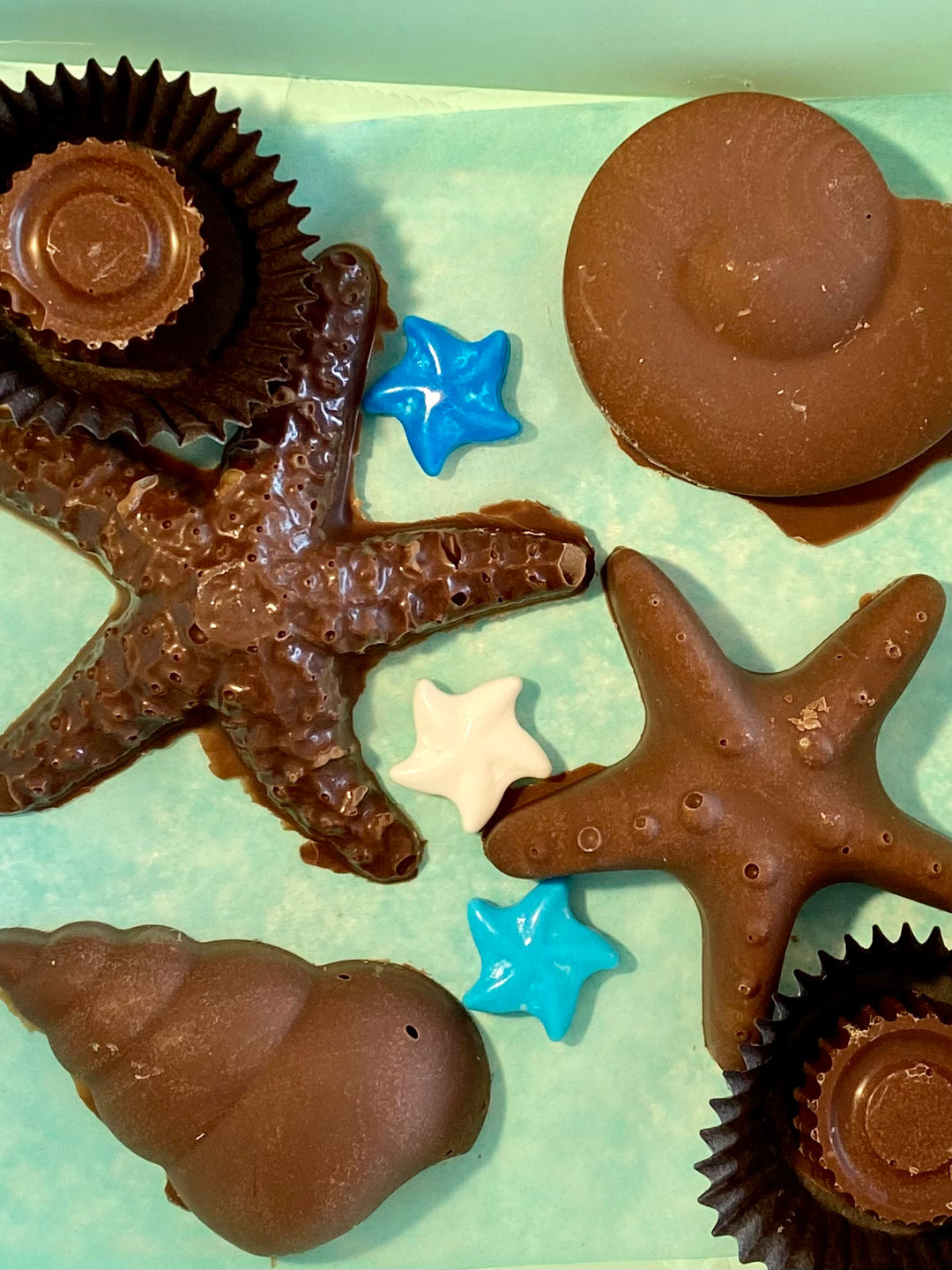 Starfish chocolate 9 in a gift box