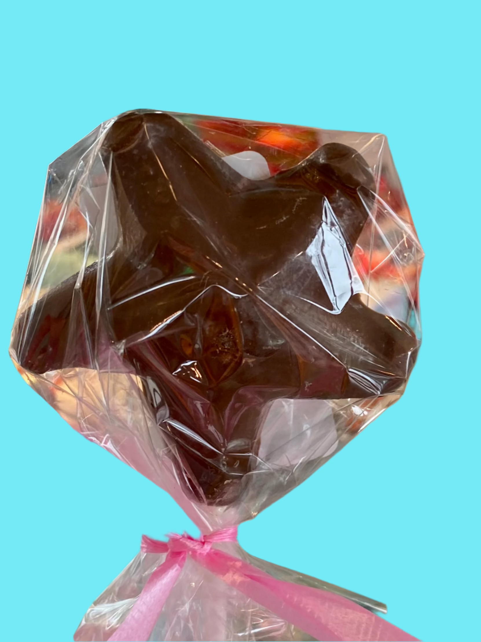 handcrafted nantasket starfish callebaut chocolate